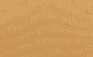 729 light orange color preview