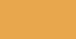 004Orange* color preview