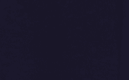 017 navy blue color preview