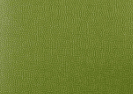 613 OIL* color preview