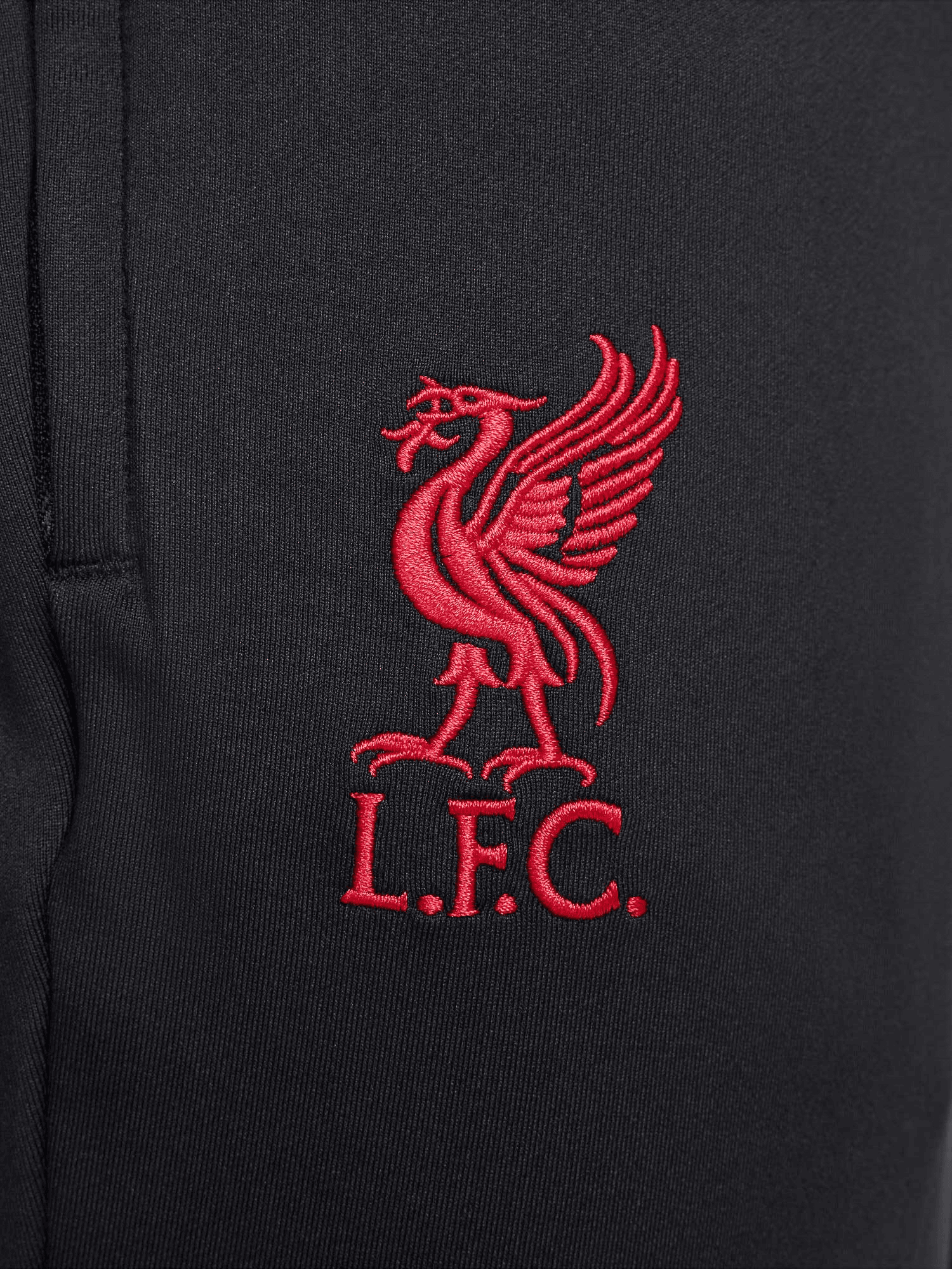 بنطال ليفربول من نايك media preview 3