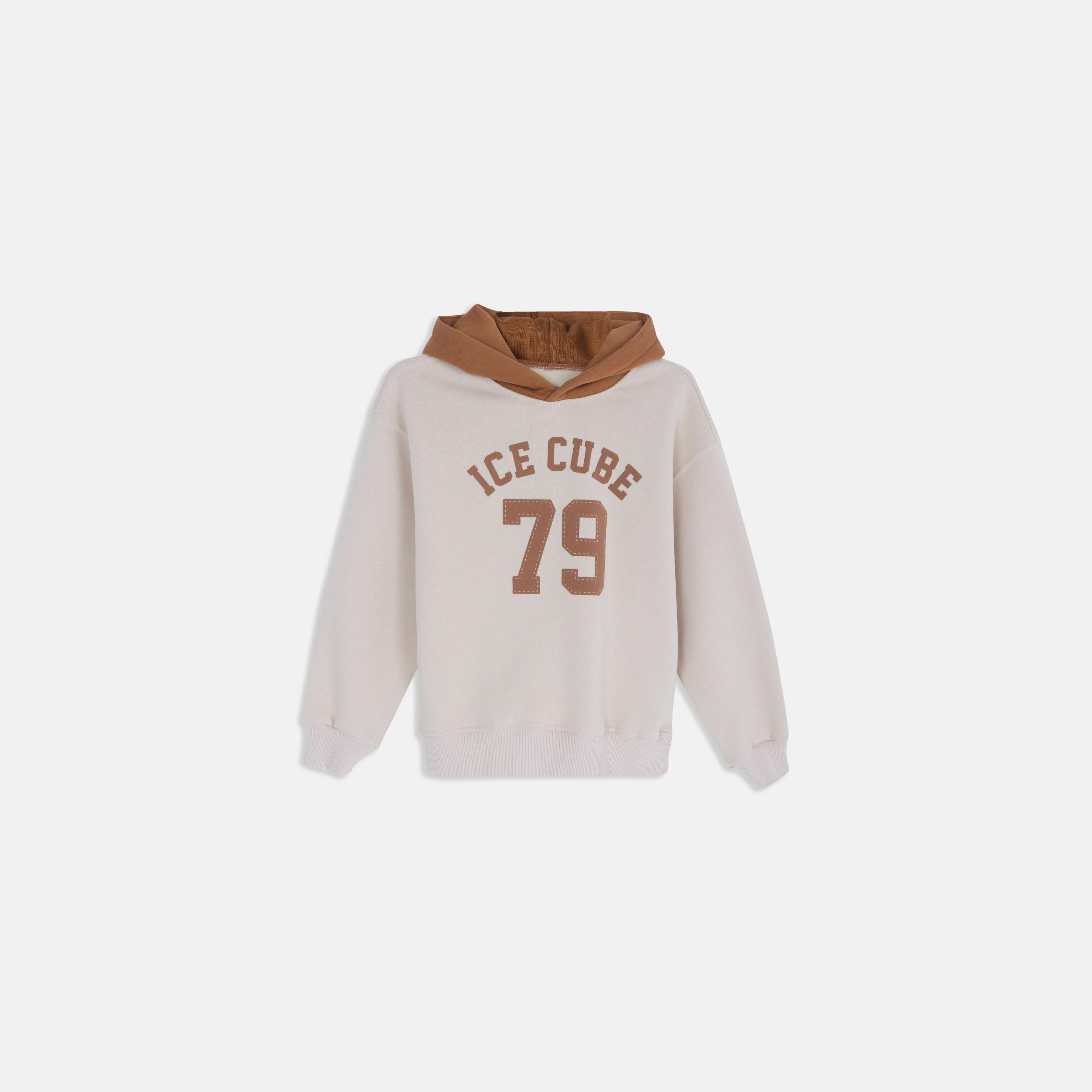 Boys' Contrast Hooded Graphic Sweatshirt Thumbnail 1