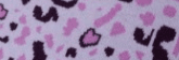 509blossom color preview