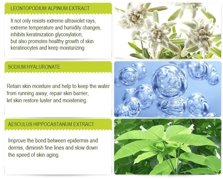 MÔND'SUB Edelweiss Mellow & Brightening Cream ED8-04 Thumbnail 5